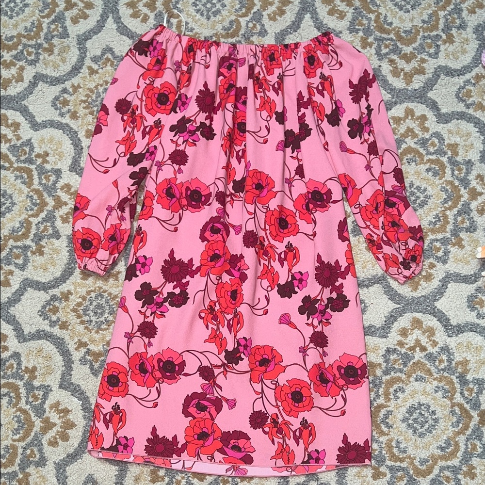 Aritzia Wilfred pink and red floral Tille dress